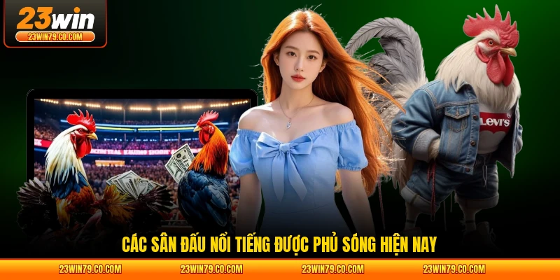 Các sân đấu nổi tiếng được phủ sóng hiện nay